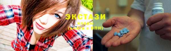 твердый Гусев