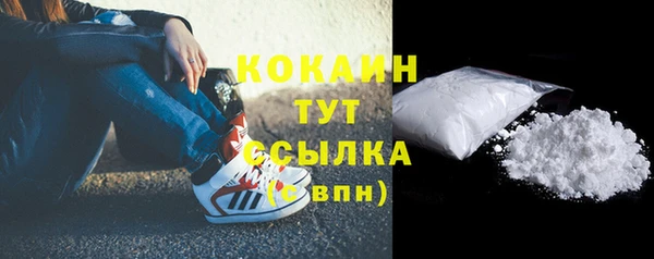 твердый Гусев