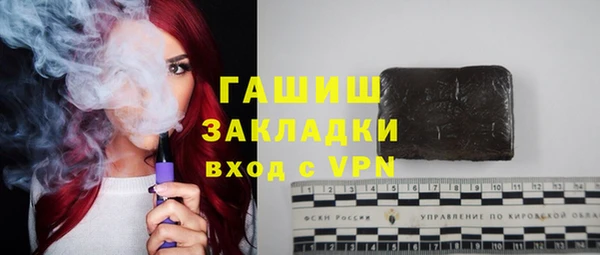 твердый Гусев
