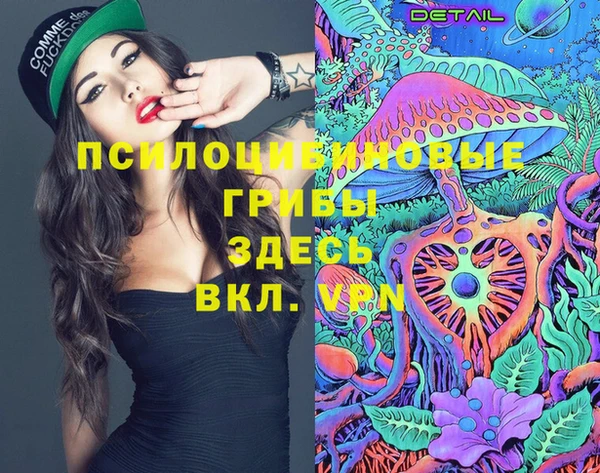 твердый Гусев