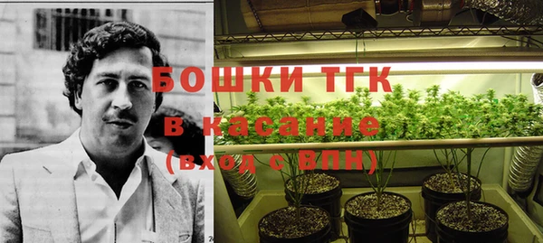 твердый Гусев