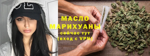 твердый Гусев