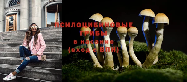 твердый Гусев