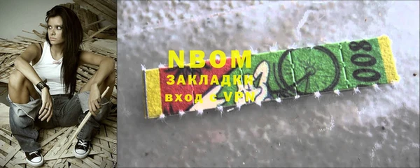 твердый Гусев