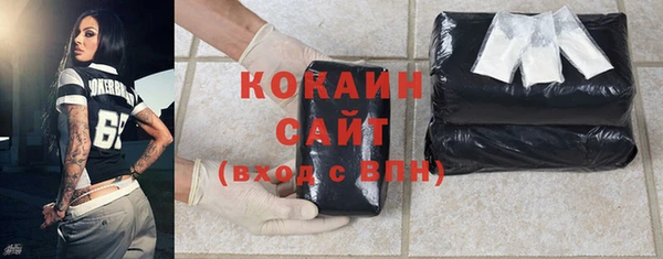 твердый Гусев