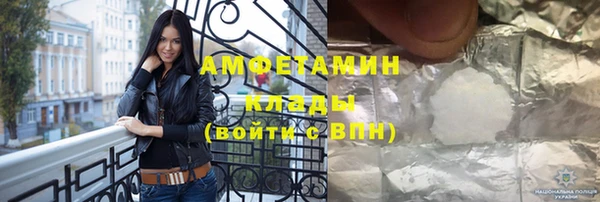 твердый Гусев