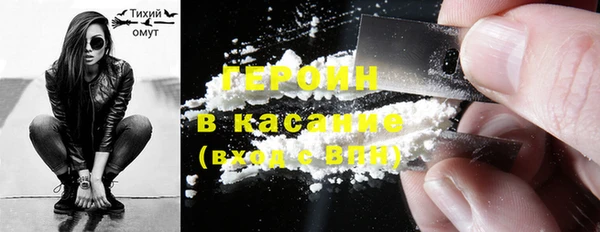 твердый Гусев